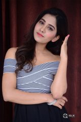 Nabha Natesh New Photos